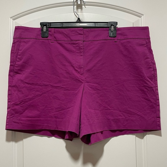 Ann Taylor Pants - Vibrant Ann Taylor Womens Plus Size 18 Violet Purple Preppy Casual Chino Shorts